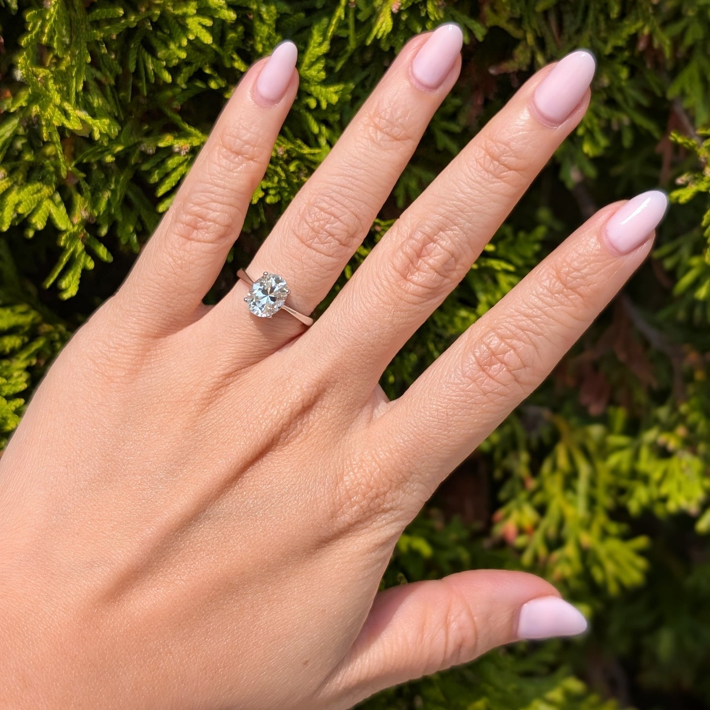 The Aurora Classic — 2CT Oval Moissanite Solitaire Ring