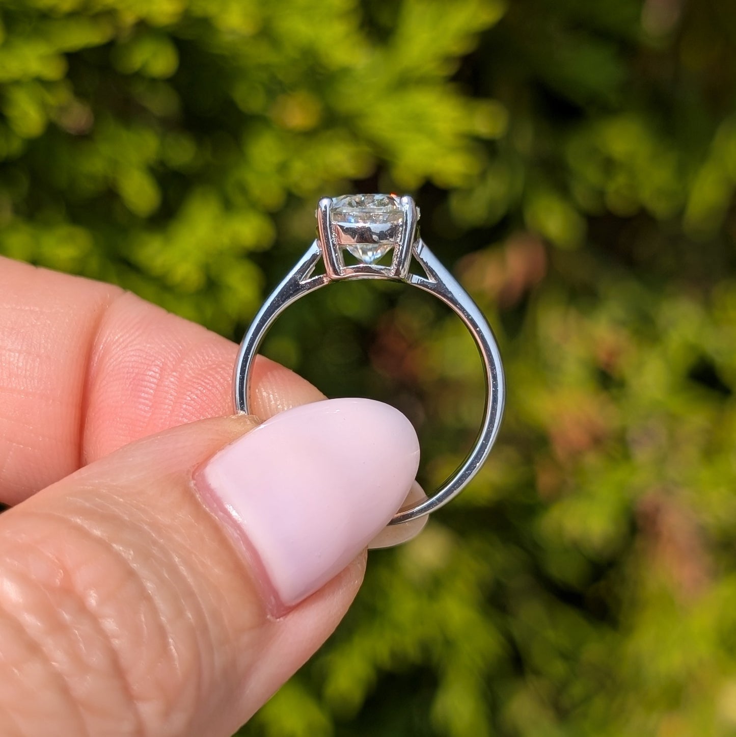 The Aurora Classic — 2CT Oval Moissanite Solitaire Ring